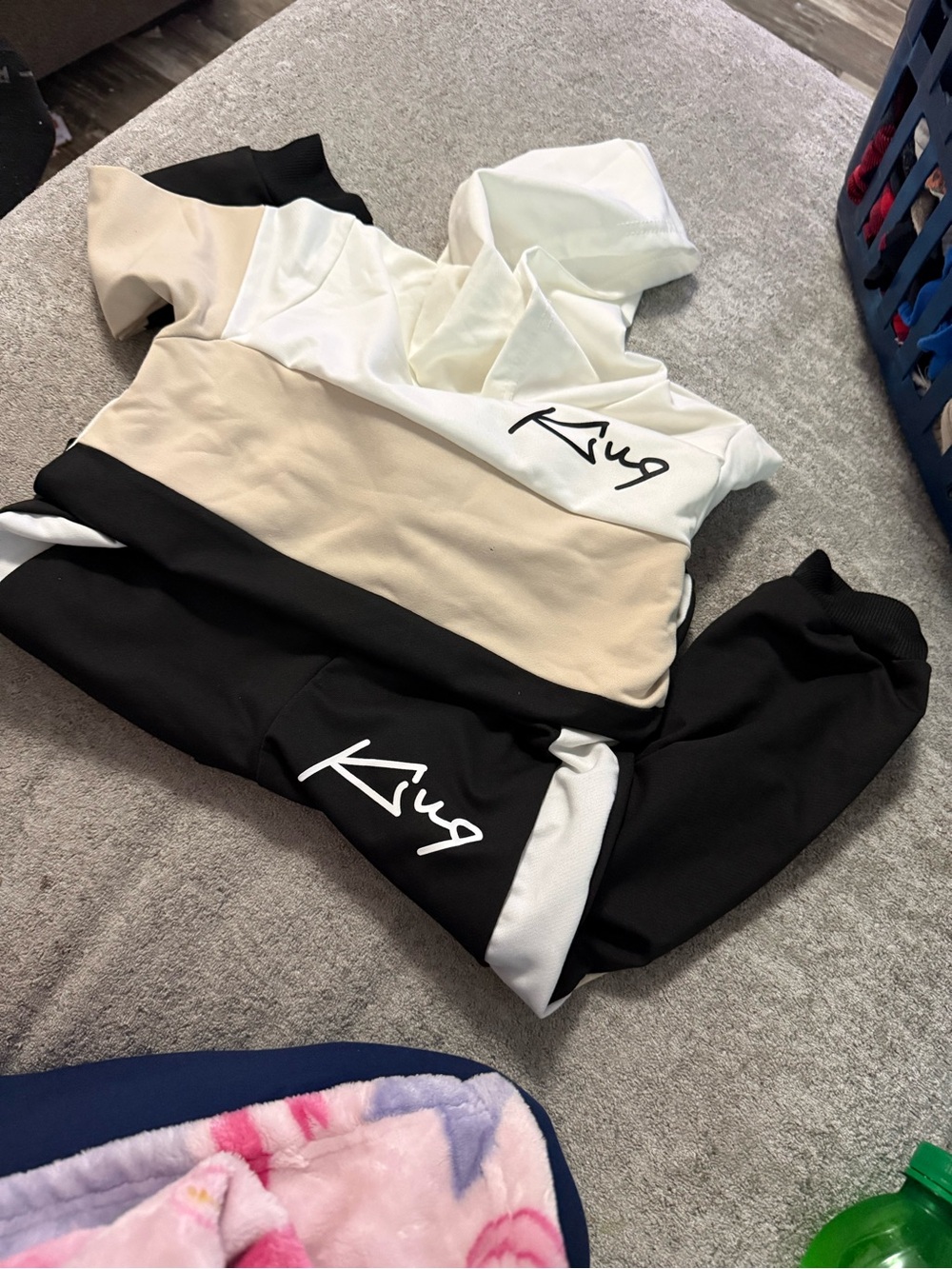 Colorblock Hooded Sweatshirt with Script Logo - Black, Cream, White
